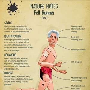 Nature Notes: The Fell Runner - A3 print